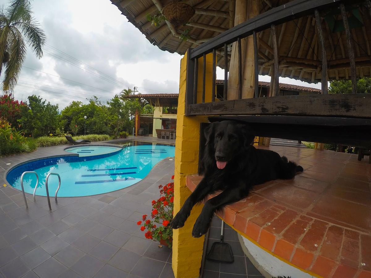 La Quinta Porra *